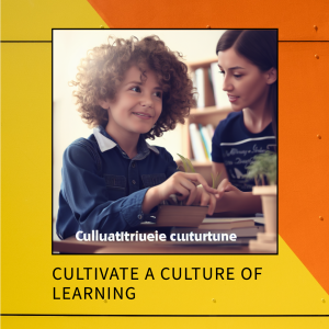 Cultivate a Culture of Learning 