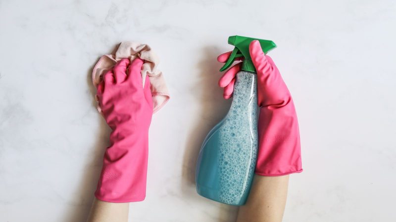 Gloved hands holding a cleaning spray bottle